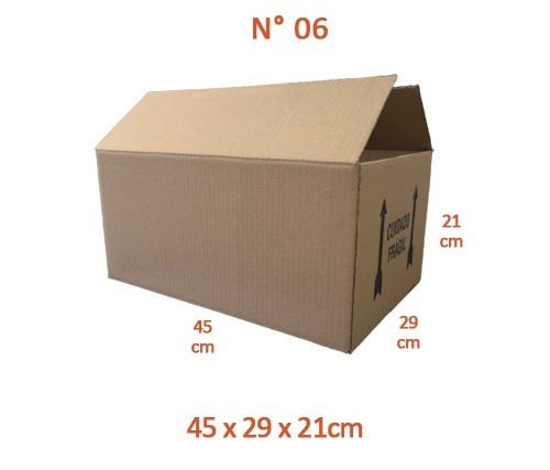 CAIXA N. 06 (45x29x21)