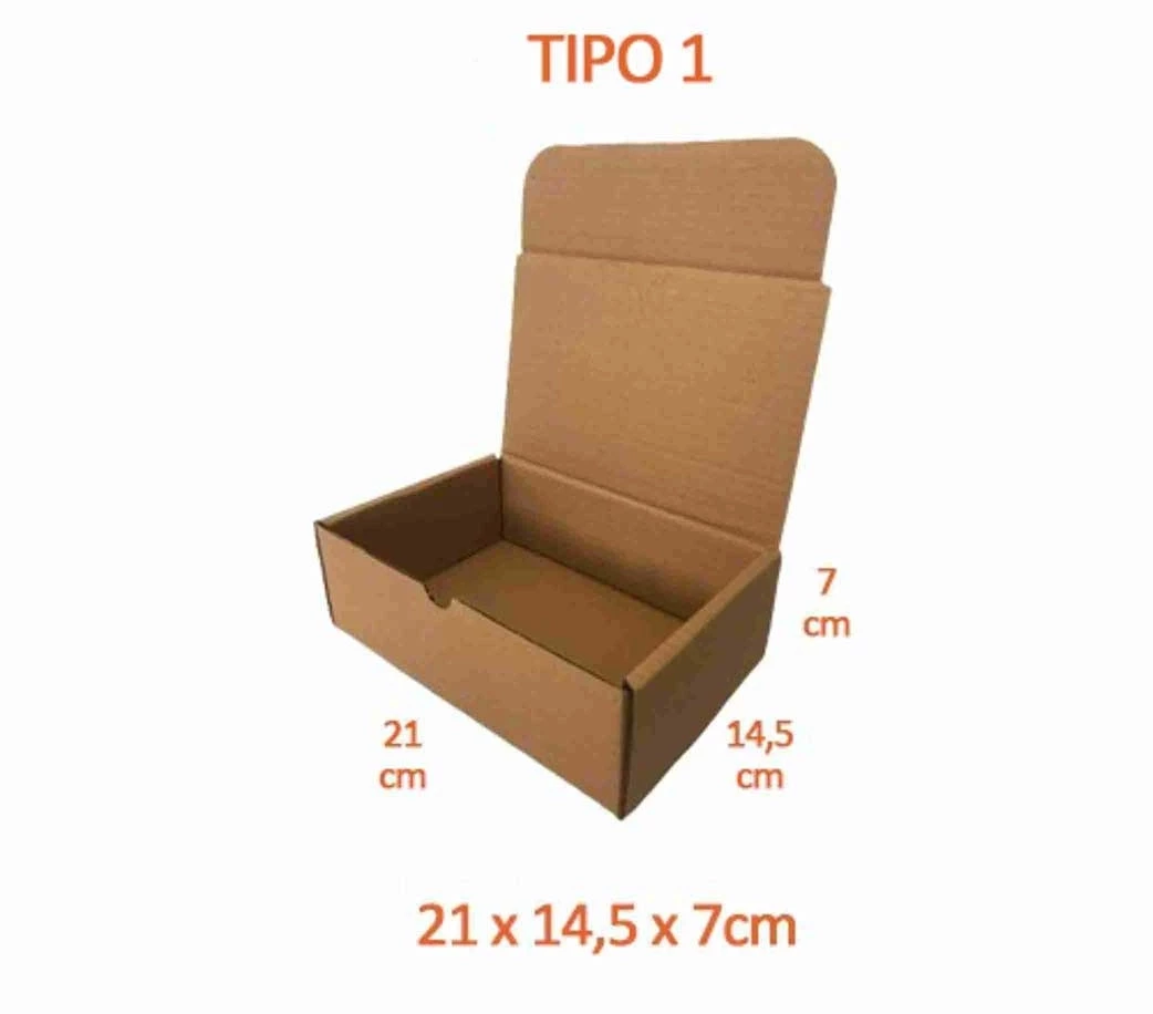 TIPO 1 (20,5x14,5x7) Com Logotipo Personalizado (50 unid.)
