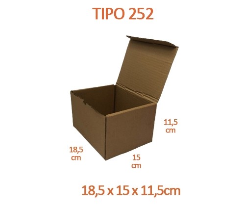 TIPO 252 (18,5x15x11,5) Sem Logotipo (50 unid.)