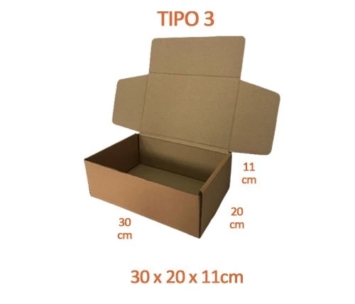 TIPO 3 (30x20x11) Com Logotipo Personalizado (50 unid.)