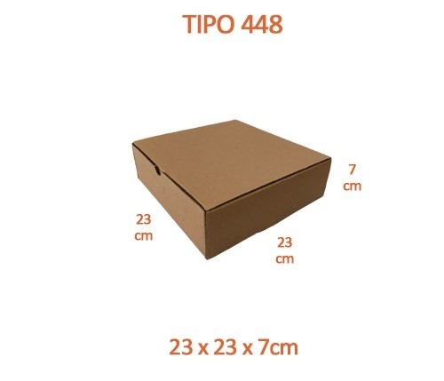TIPO 448 (23x23x7)