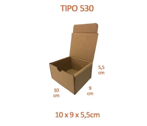 TIPO 530 (10x9x5,5) Com Logotipo Personalizado (50 unid.)