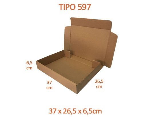 TIPO 597 (37x26,5x6,5) Sem Logotipo (50 unid.)