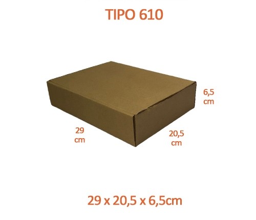 TIPO 610 (29x20,5x6,5)