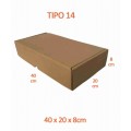 TIPO 14 (40x20x8)