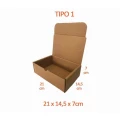 TIPO 1 (20,5x14,5x7) Com Logotipo Personalizado (50 unid.)