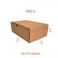 TIPO 2 (25x17x8,5)