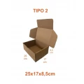 TIPO 2 (25x17x8,5) Com Logotipo Personalizado (50 unid.)