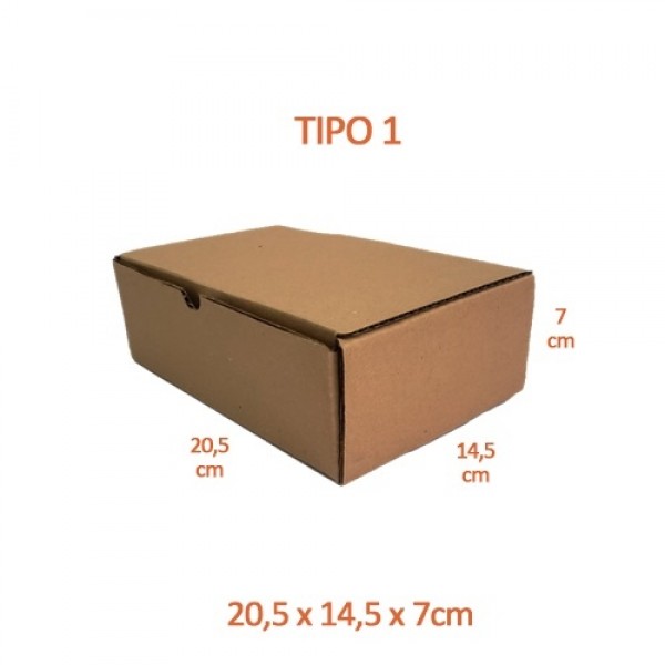 TIPO 1 (20,5x14,5x7) Sem Impressão (50 und)
