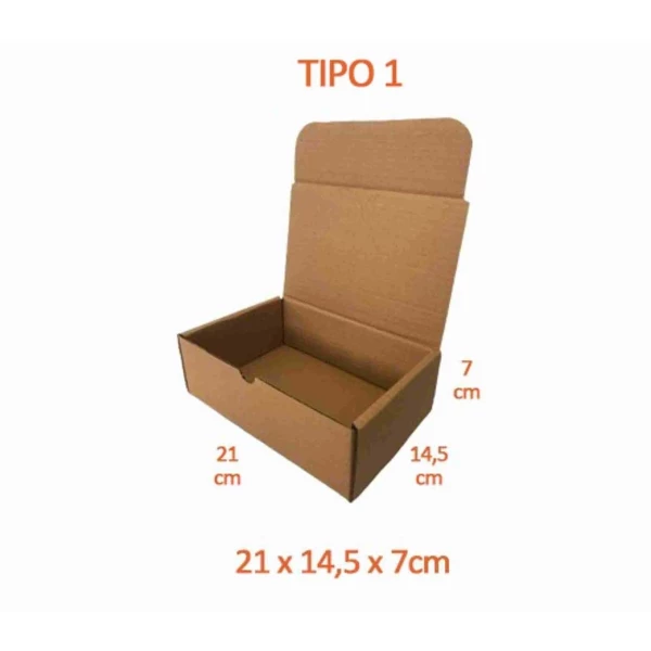 TIPO 1 (20,5x14,5x7) Com Logotipo Personalizado (50 unid.)