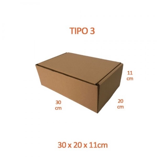 TIPO 3 (30x20x11)