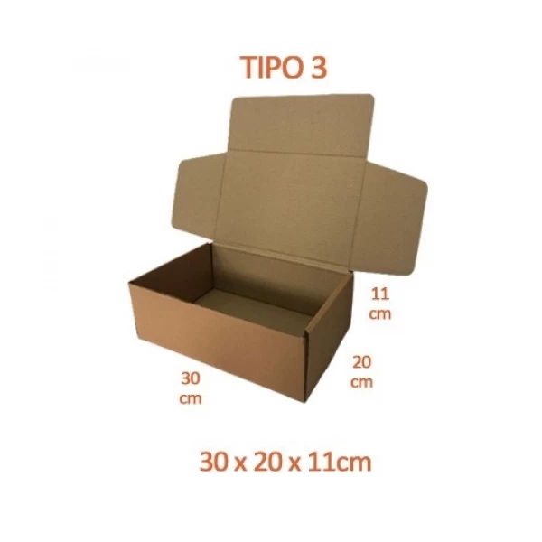 TIPO 3 (30x20x11) Com Logotipo Personalizado (50 unid.)