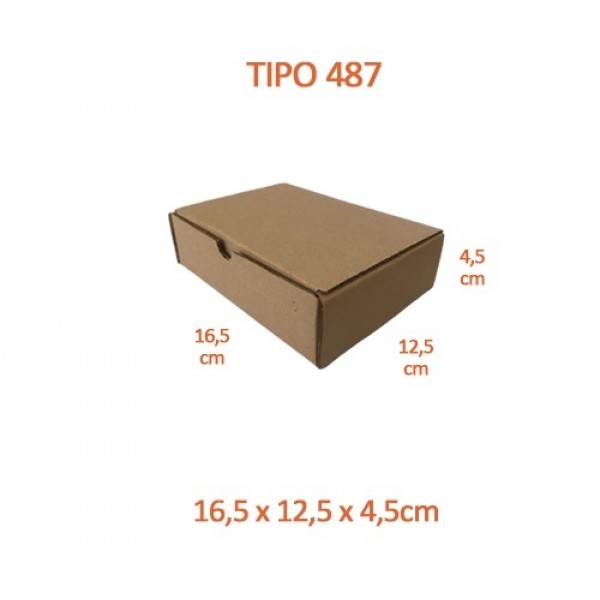 TIPO 487 (16,5x12,5x4,5)