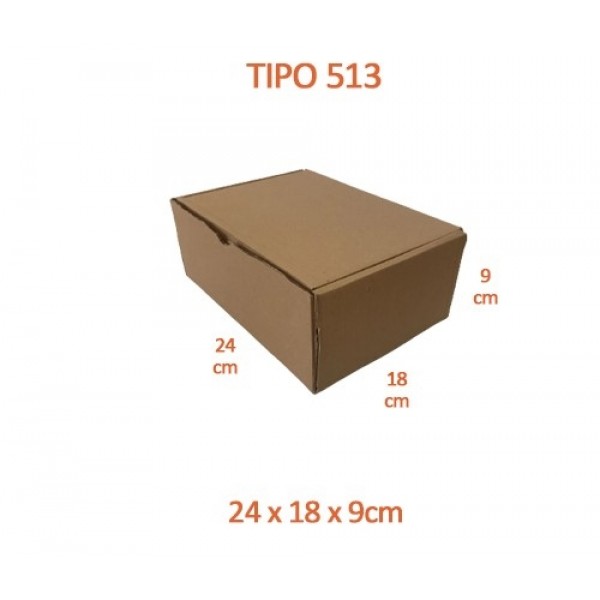 TIPO 513 (24x18x9)