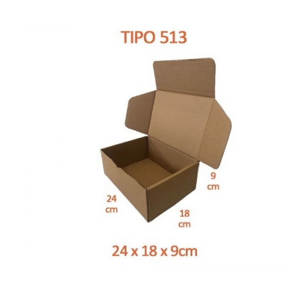 TIPO 513 (24x18x9) Sem Logotipo (50 unid.)