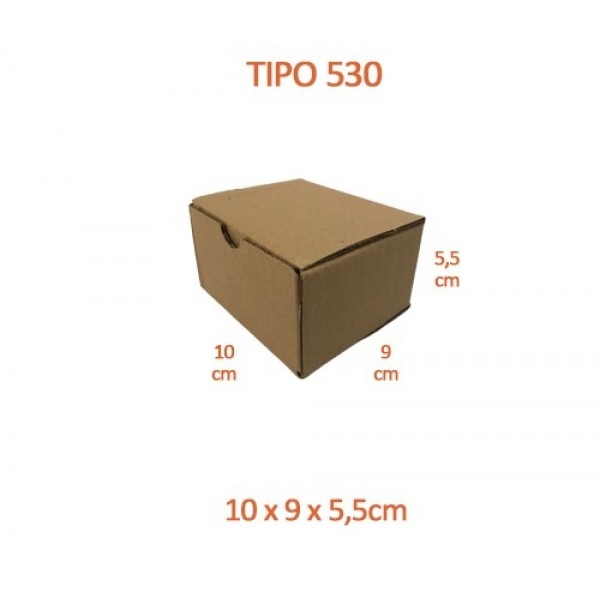 TIPO 530 (10x9x5,5)