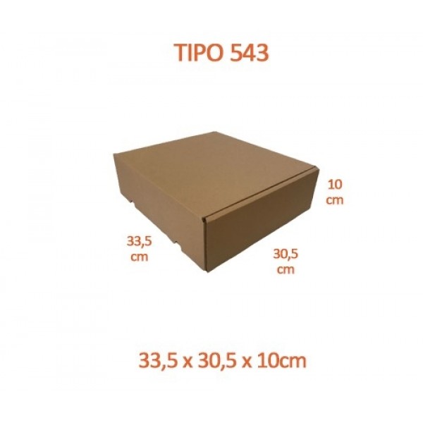 TIPO 543 (33,5x30,5x10)