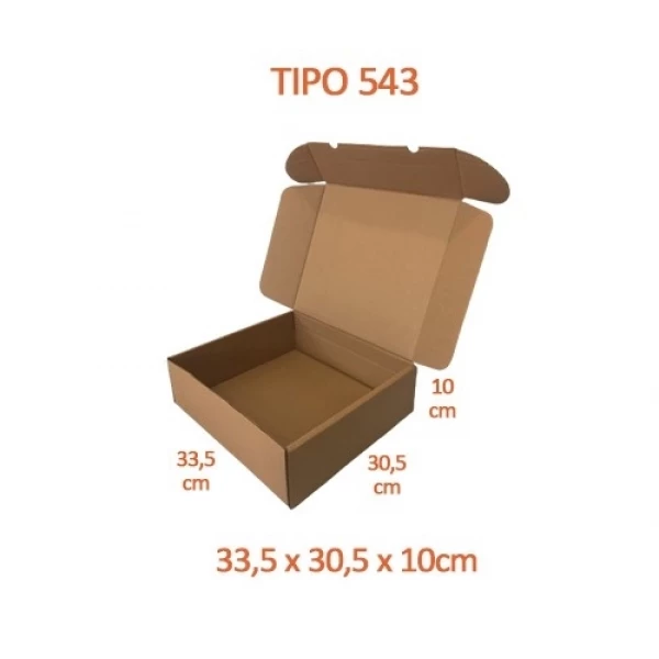 TIPO 543 (33,5x30,5x10) Com Logotipo Personalizado (50 unid.)