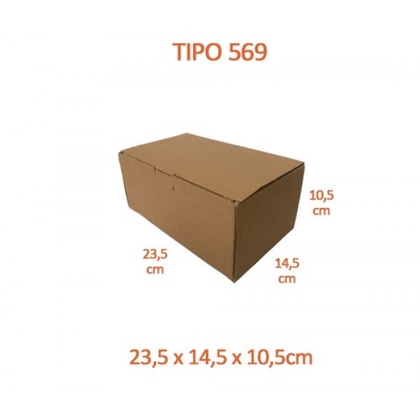 TIPO 569 (23,5x14,5x10,5)