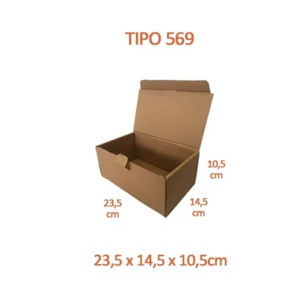 TIPO 569 (23,5x14,5x10,5) Com Logotipo Personalizado (50 unid.)