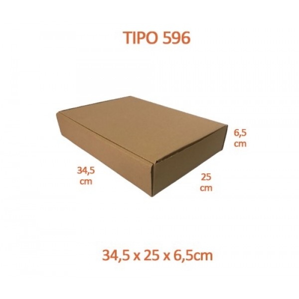 TIPO 596 (34,5x25x6,5)