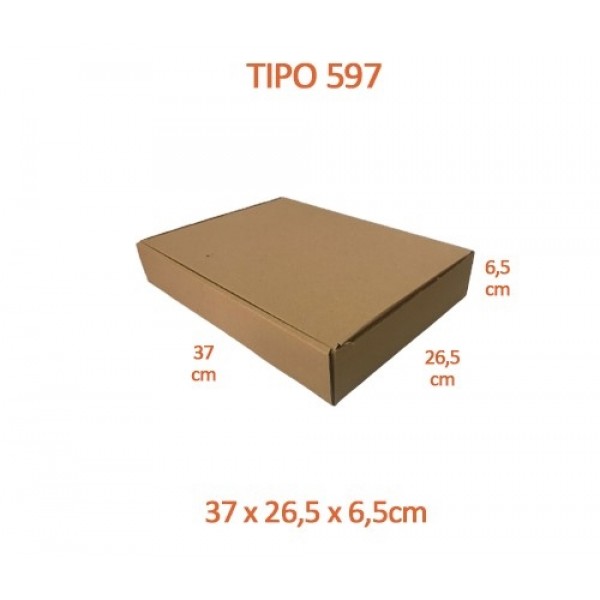 TIPO 597 (37x26,5x6,5)