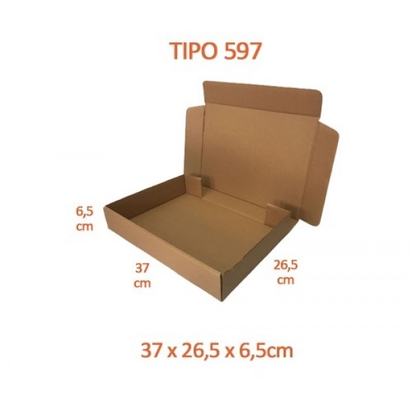 TIPO 597 (37x26,5x6,5) Sem Logotipo (50 unid.)