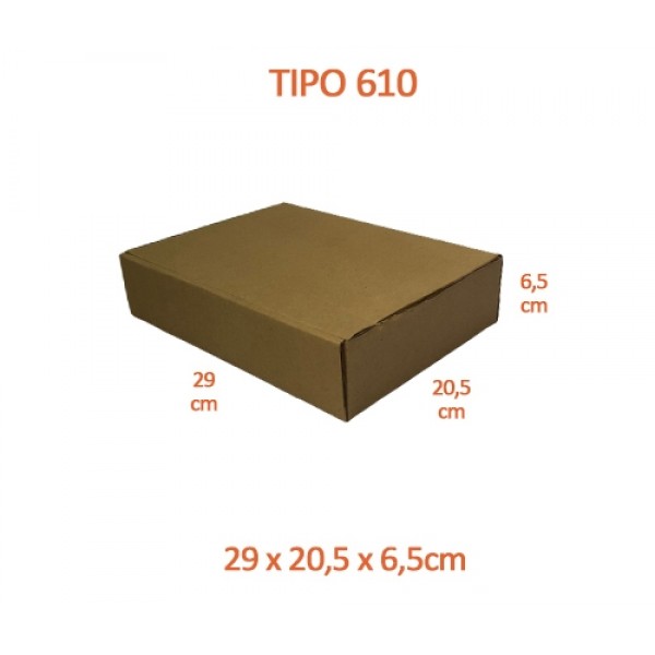TIPO 610 (29x20,5x6,5)