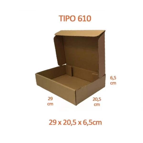TIPO 610 (29x20,5x6,5) Com Logotipo Personalizado (50 unid.)