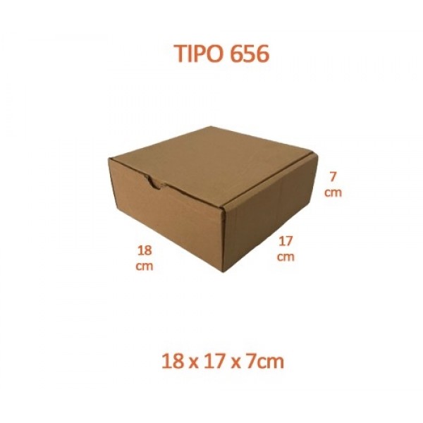 TIPO 656 (18x17x7)