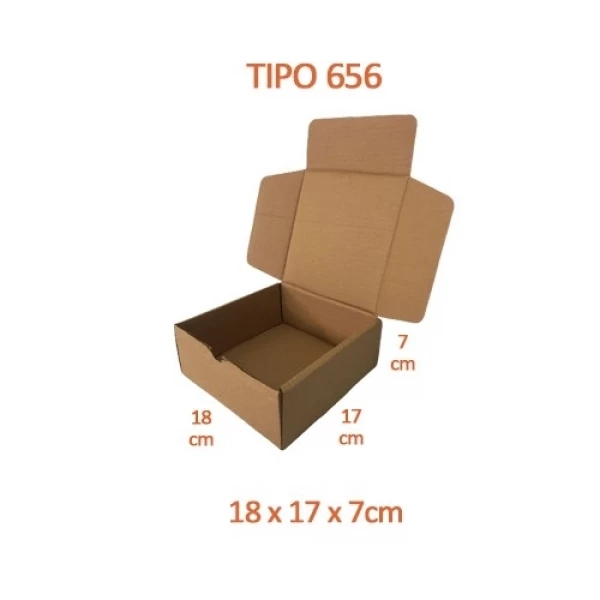 TIPO 656 (18x17x7) Com Logotipo Personalizado (50 unid.)