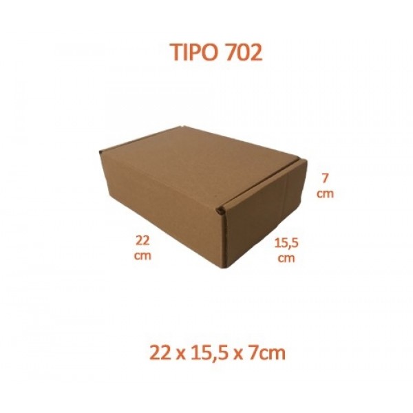 TIPO 702 (22x15,5x7)