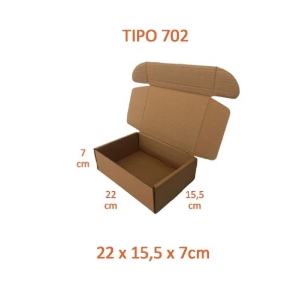TIPO 702 (22x15,5x7) Com Logotipo Personalizado (50 unid.)