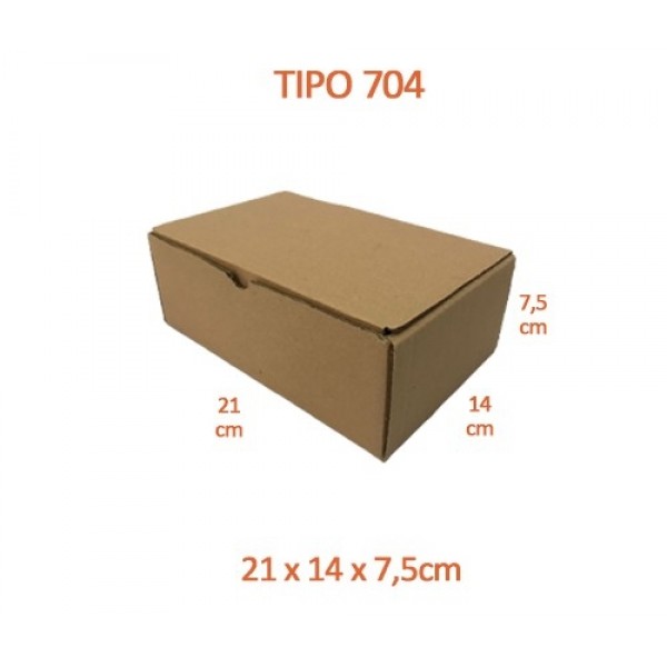 TIPO 704 (21x14x7,5)