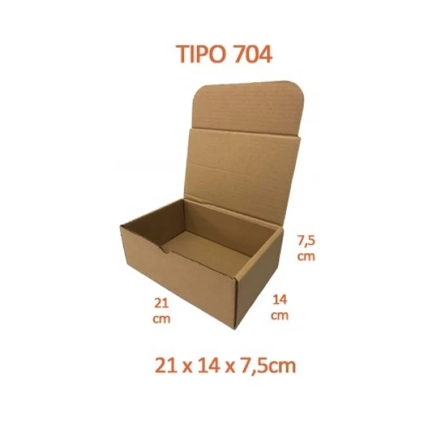 TIPO 704 (21x14x7,5) Com Logotipo Personalizado (50 unid.)