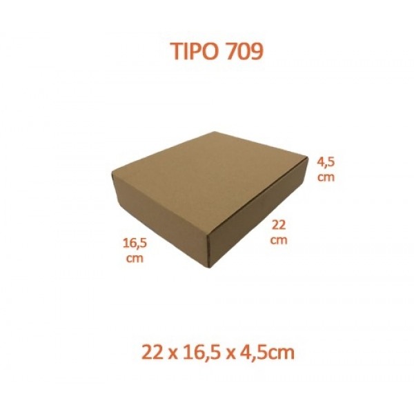 TIPO 709 (22x16,5x4,5)