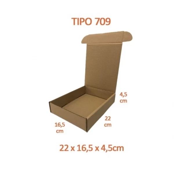TIPO 709 (22x16,5x4,5) Com Logotipo Personalizado (50 unid.)