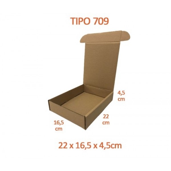 TIPO 709 (22x16,5x4,5) Sem Logotipo (50 unid.)