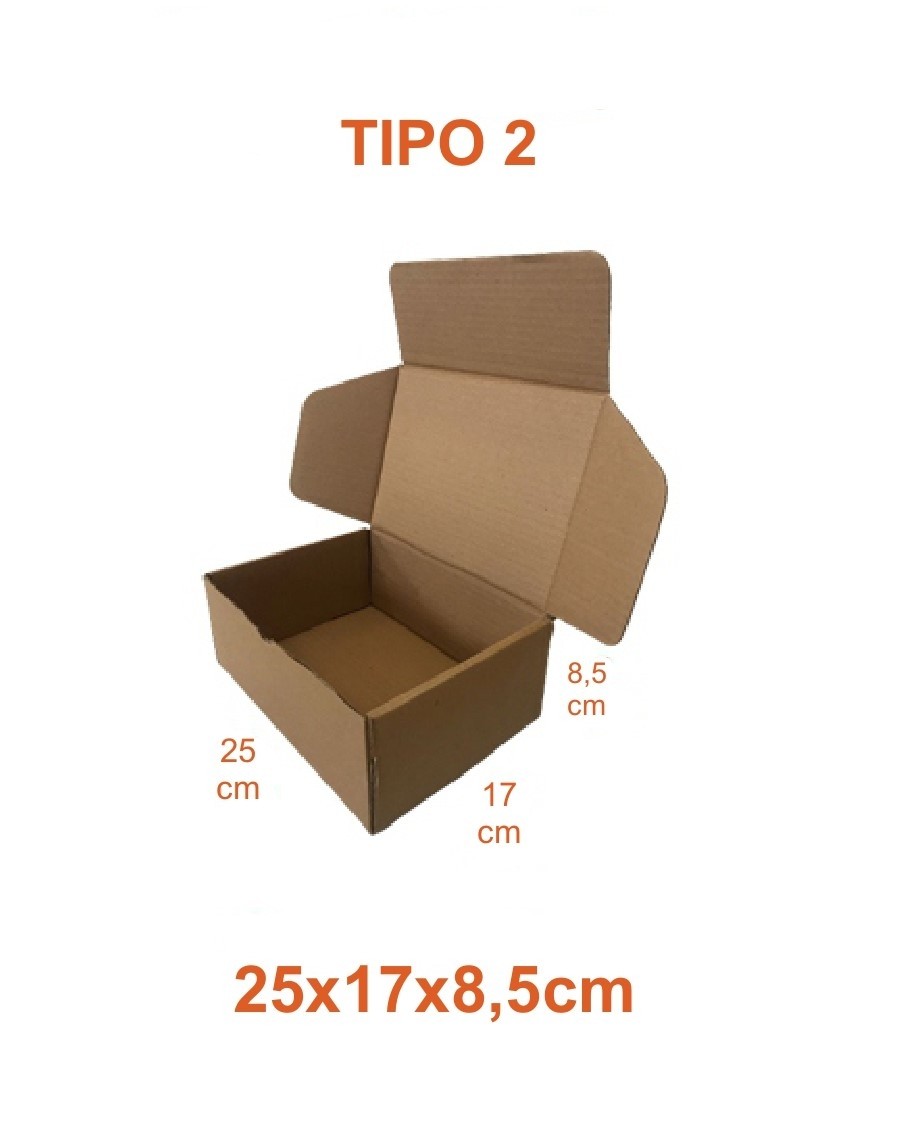 TIPO 2 (25x17x8,5) Sem Logotipo (50 unid.)