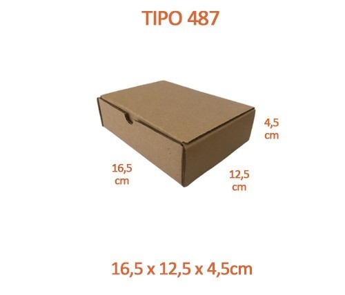 TIPO 487 (16,5x12,5x4,5)