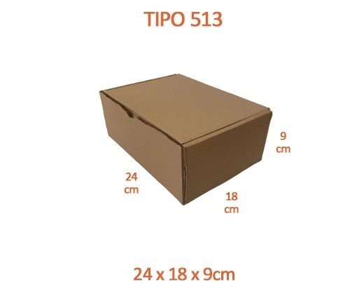 TIPO 513 (24x18x9)