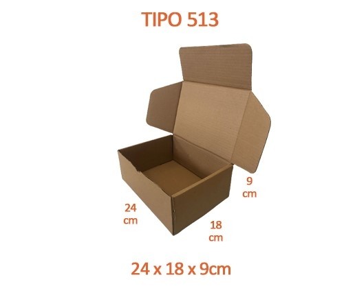 TIPO 513 (24x18x9) Sem Logotipo (50 unid.)