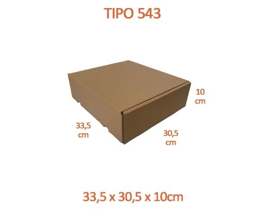 TIPO 543 (33,5x30,5x10)