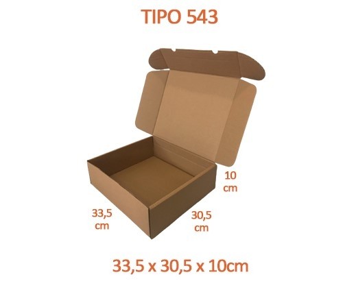 TIPO 543 (33,5x30,5x10) Sem Logotipo (50 unid.)