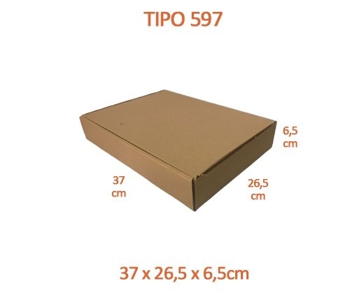 TIPO 597 (37x26,5x6,5)
