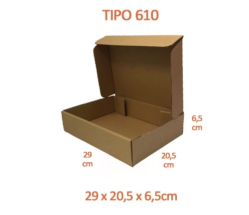 TIPO 610 (29x20,5x6,5) Sem Logotipo (50 unid.)