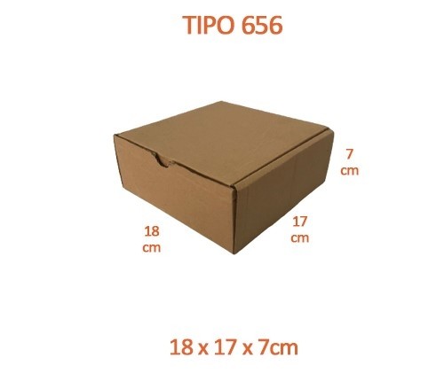 TIPO 656 (18x17x7)