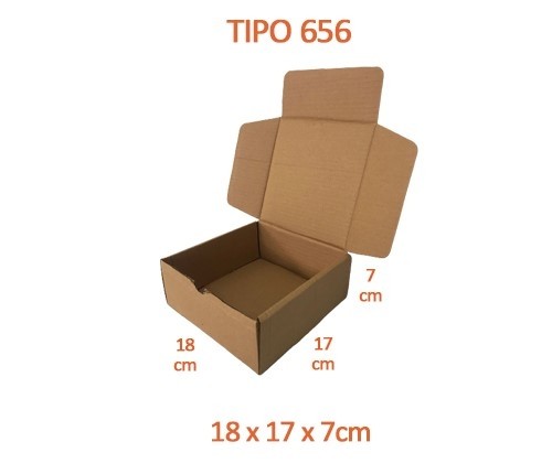 TIPO 656 (18x17x7) Sem Logotipo (50 unid.)