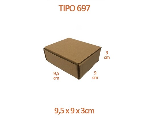 TIPO 697