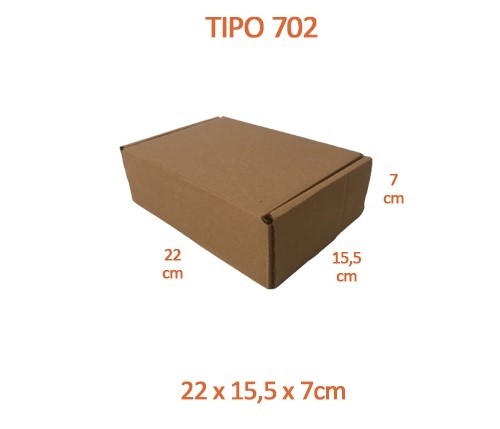 TIPO 702 (22x15,5x7)